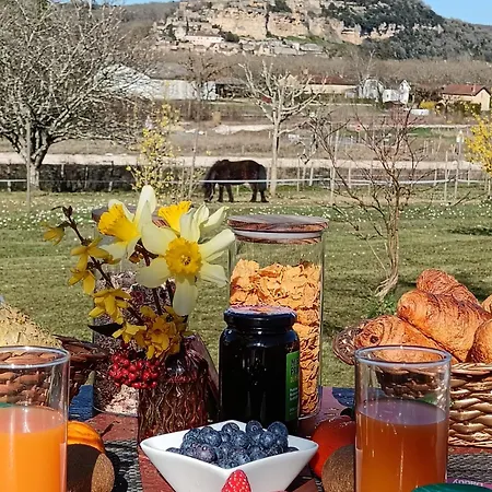 D'hotes Belle-vue -vue Sur Chateau Bed & Breakfast Castelnaud La Chapelle