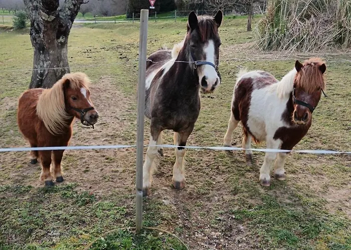 Oda ve Kahvaltı Belle-vue Hotes Au Coeur De La Vallee Des Chateaux