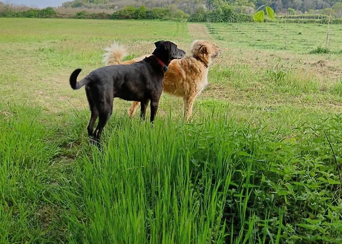 Bed & Breakfast Belle-Vue Chambres Hotes Au Coeur De La Vallee Des Chateaux 3*